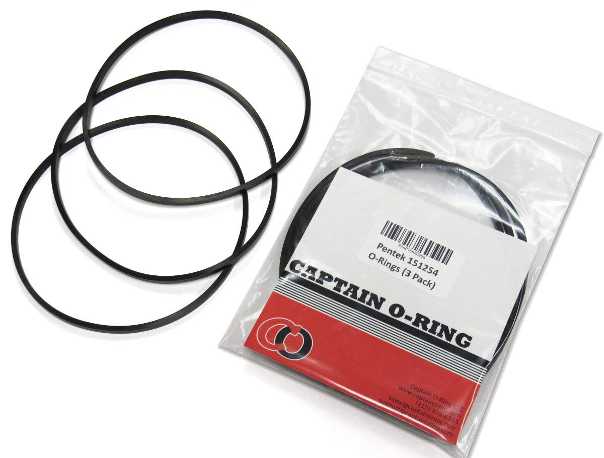 Captain O-Ring - Replacement 151254/68898-31 / OK8 / WBC-OR Square